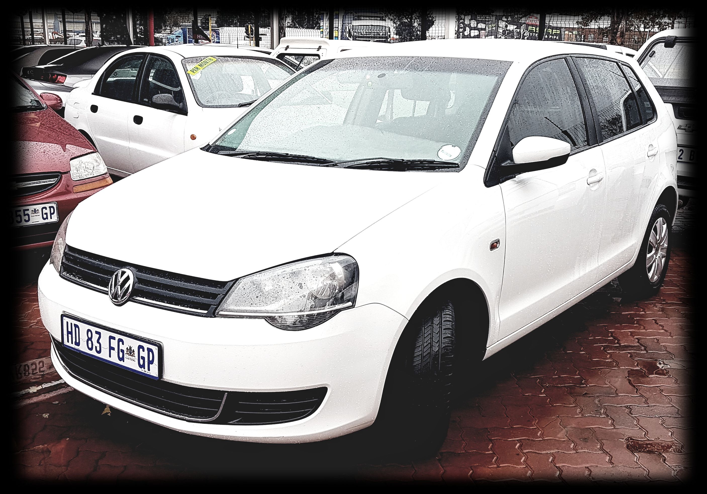 white polo vivo